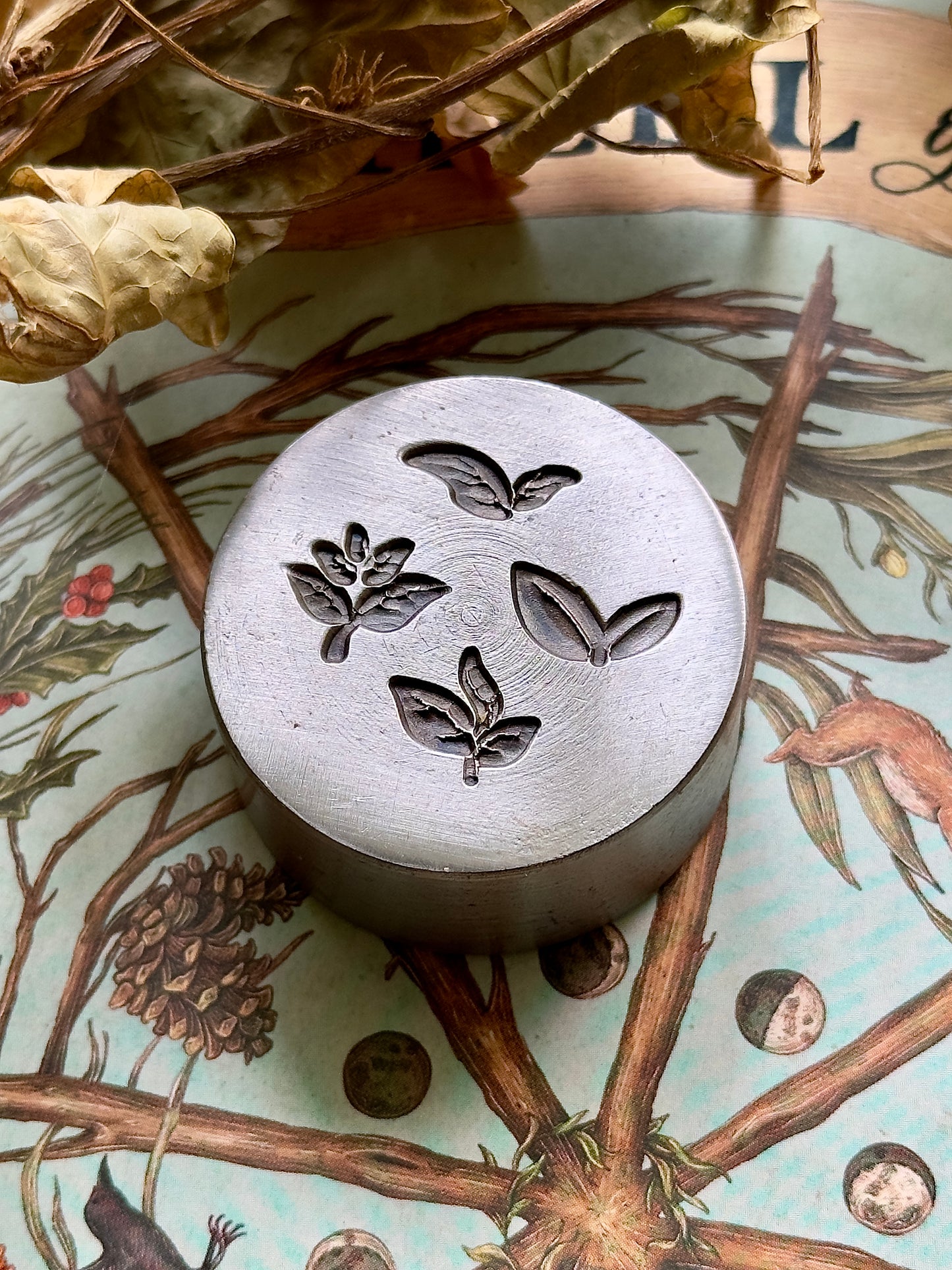 Tiny little leaves, little adornments steel shot plate #1