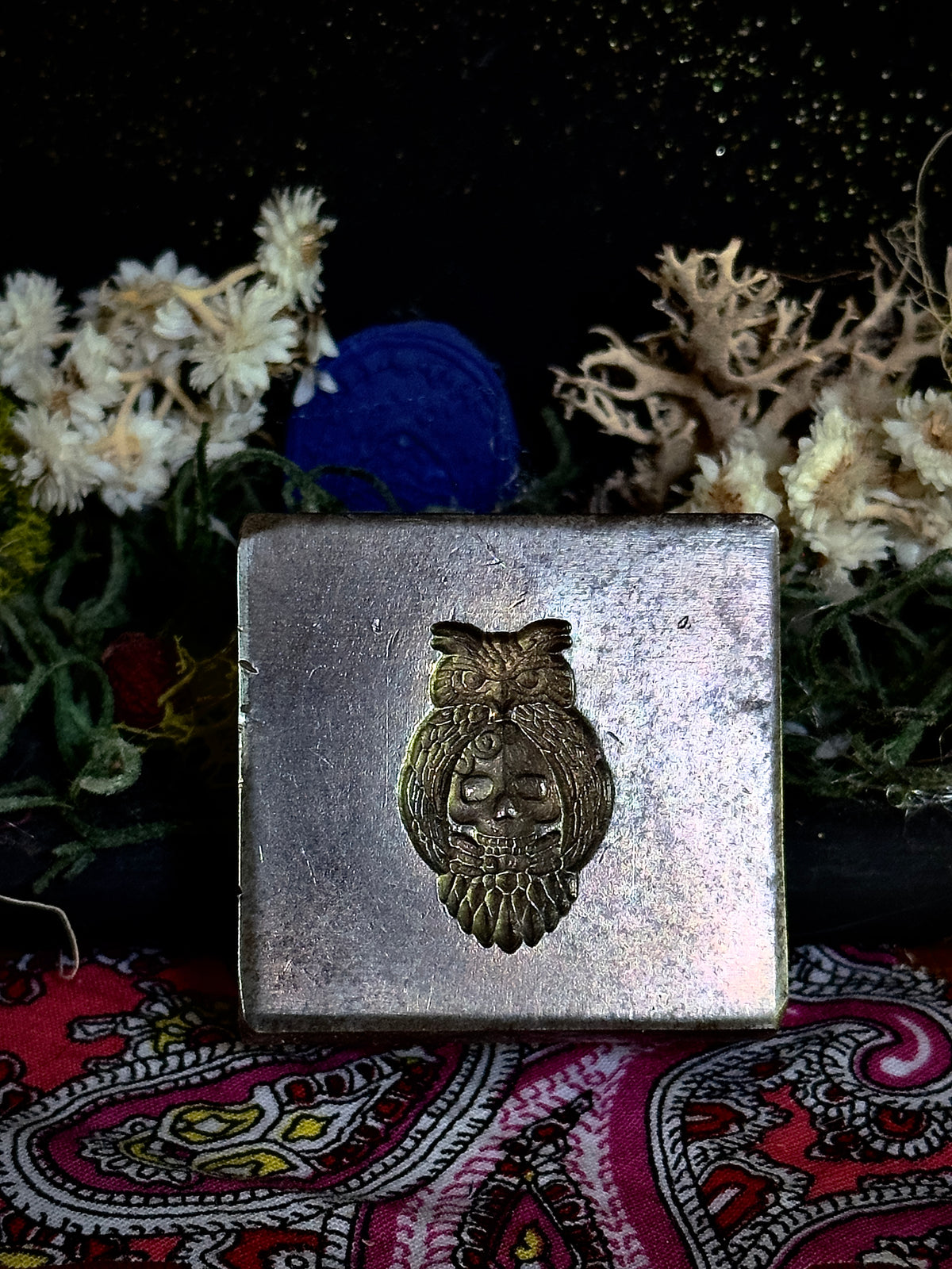 Owl skull impression die steel