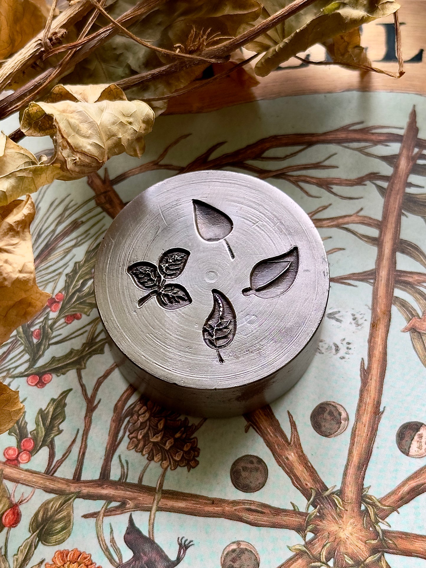 Tiny little leaves, little adornments steel shot plate #6
