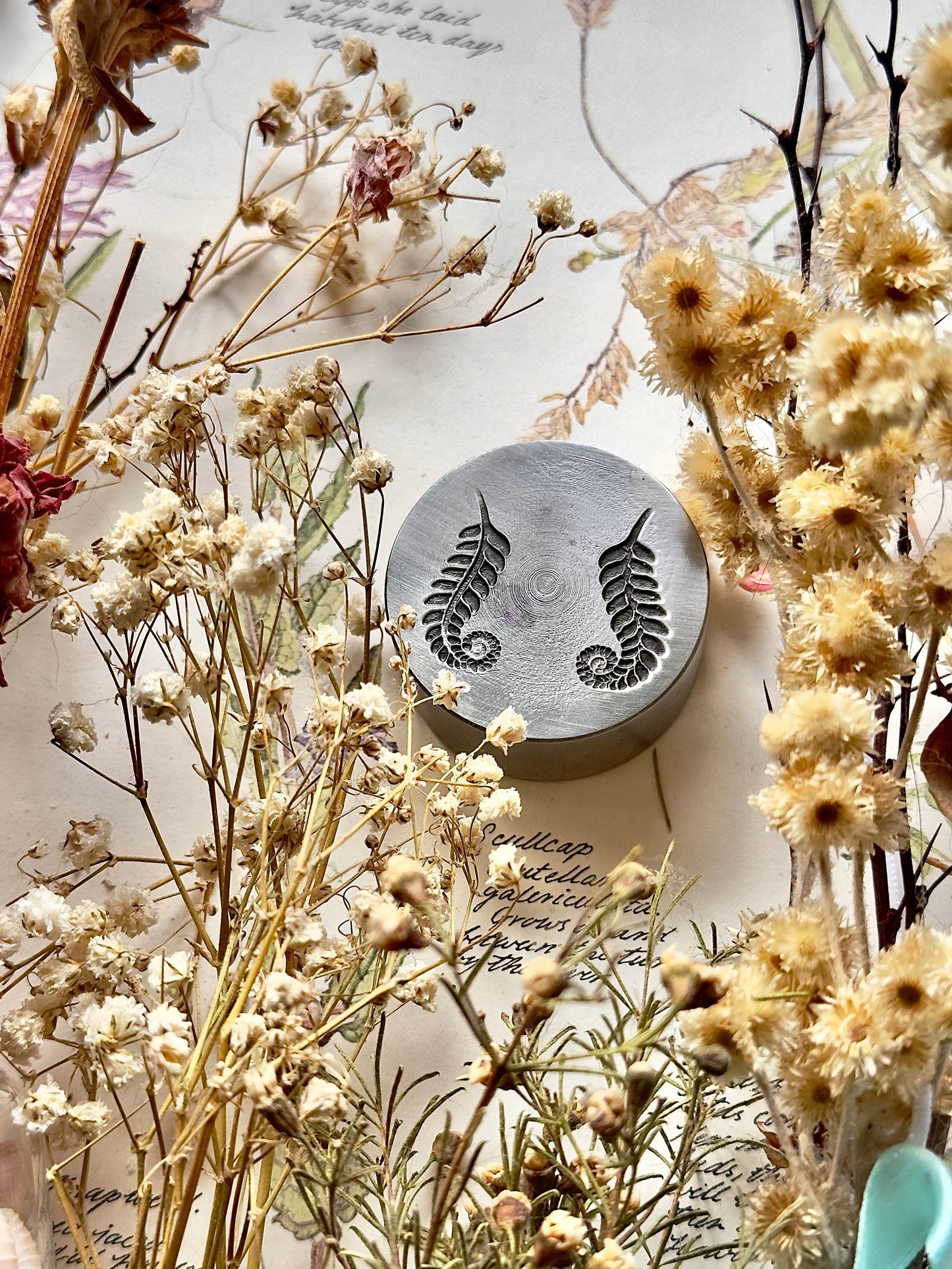 Sister ferns  steel impression die