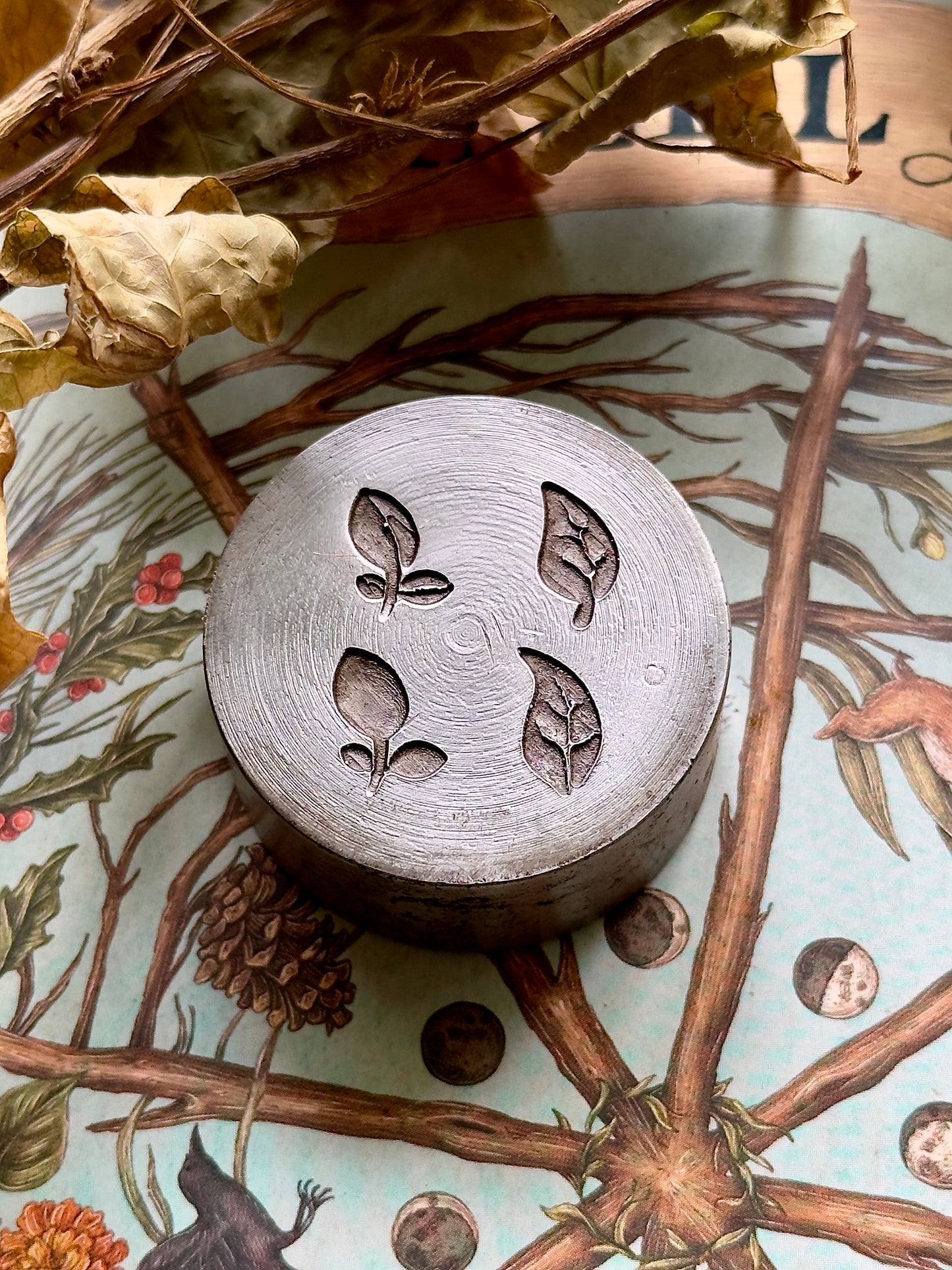 Tiny little leaves, little adornments steel shot plate #3